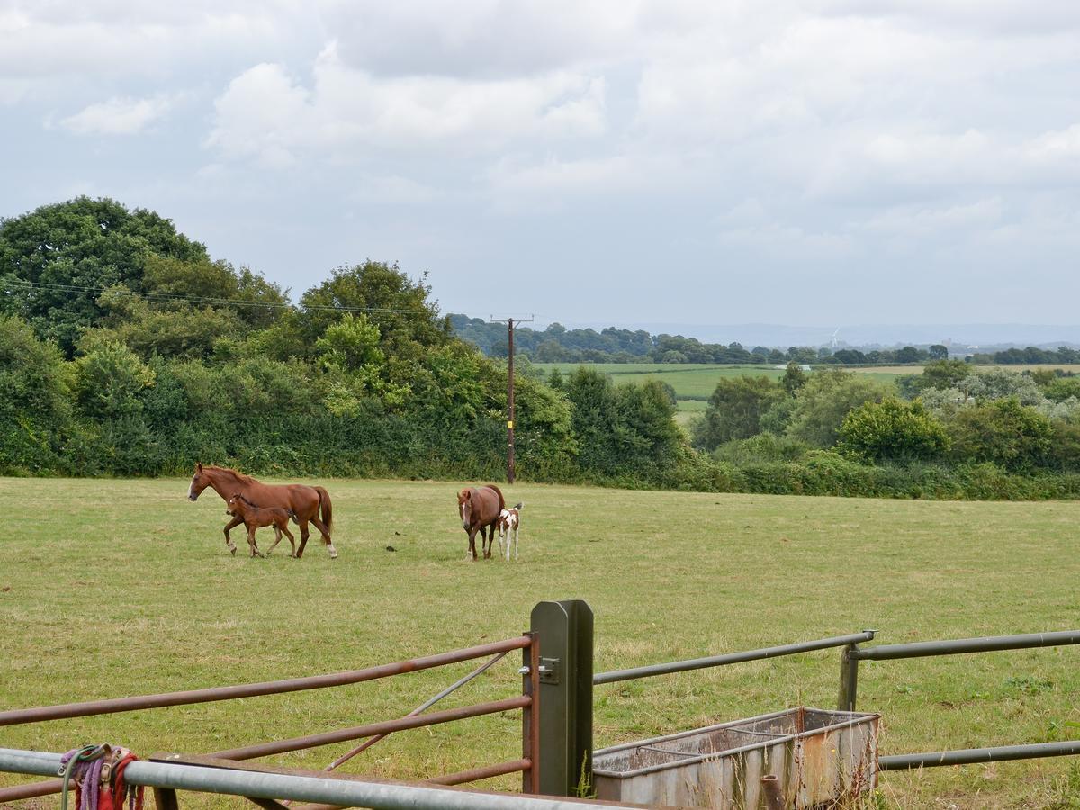 Вилла The Stables Woolaston Экстерьер фото